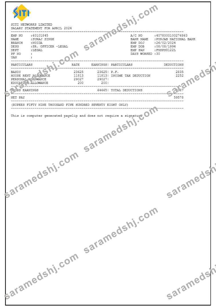 Siti Networks payslip template in Word and PDF formats.pdf, 1